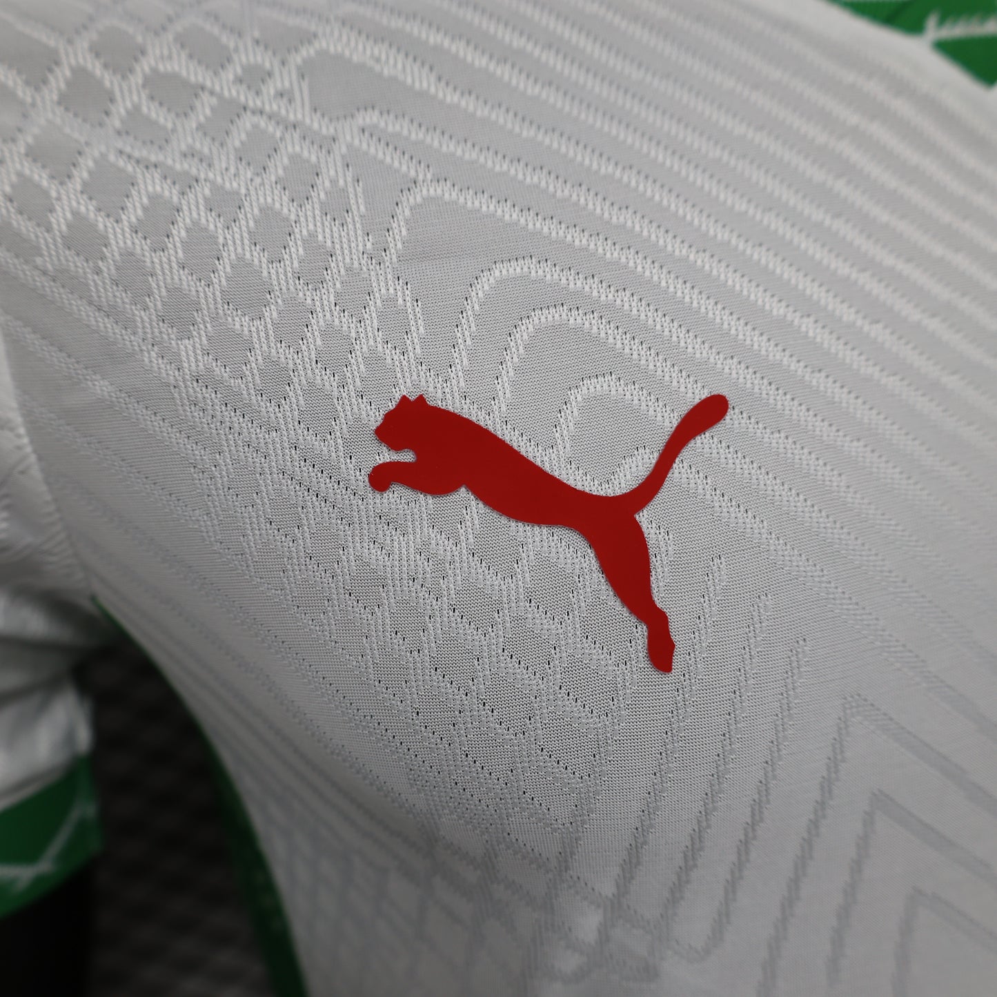 Marruecos 2025 Visitante