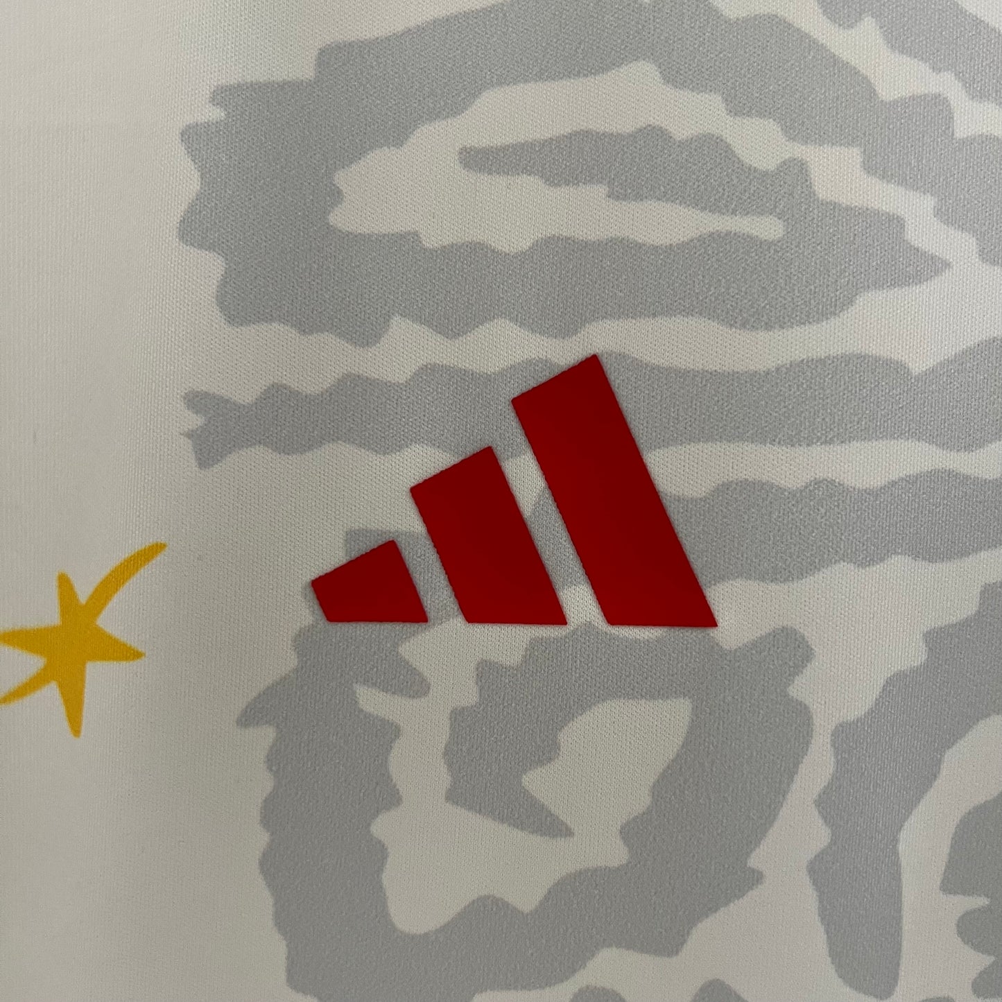 International Special Edition 2023