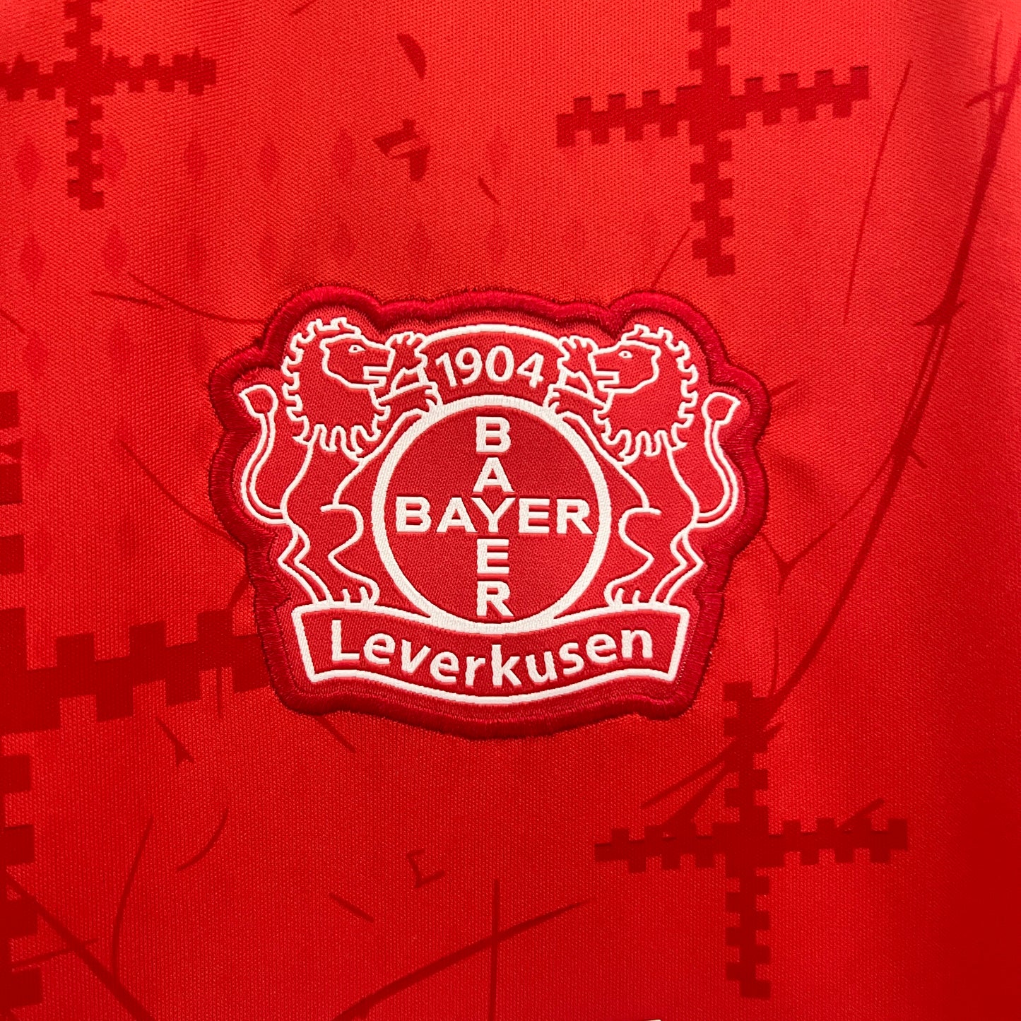 Leverkusen 24/25