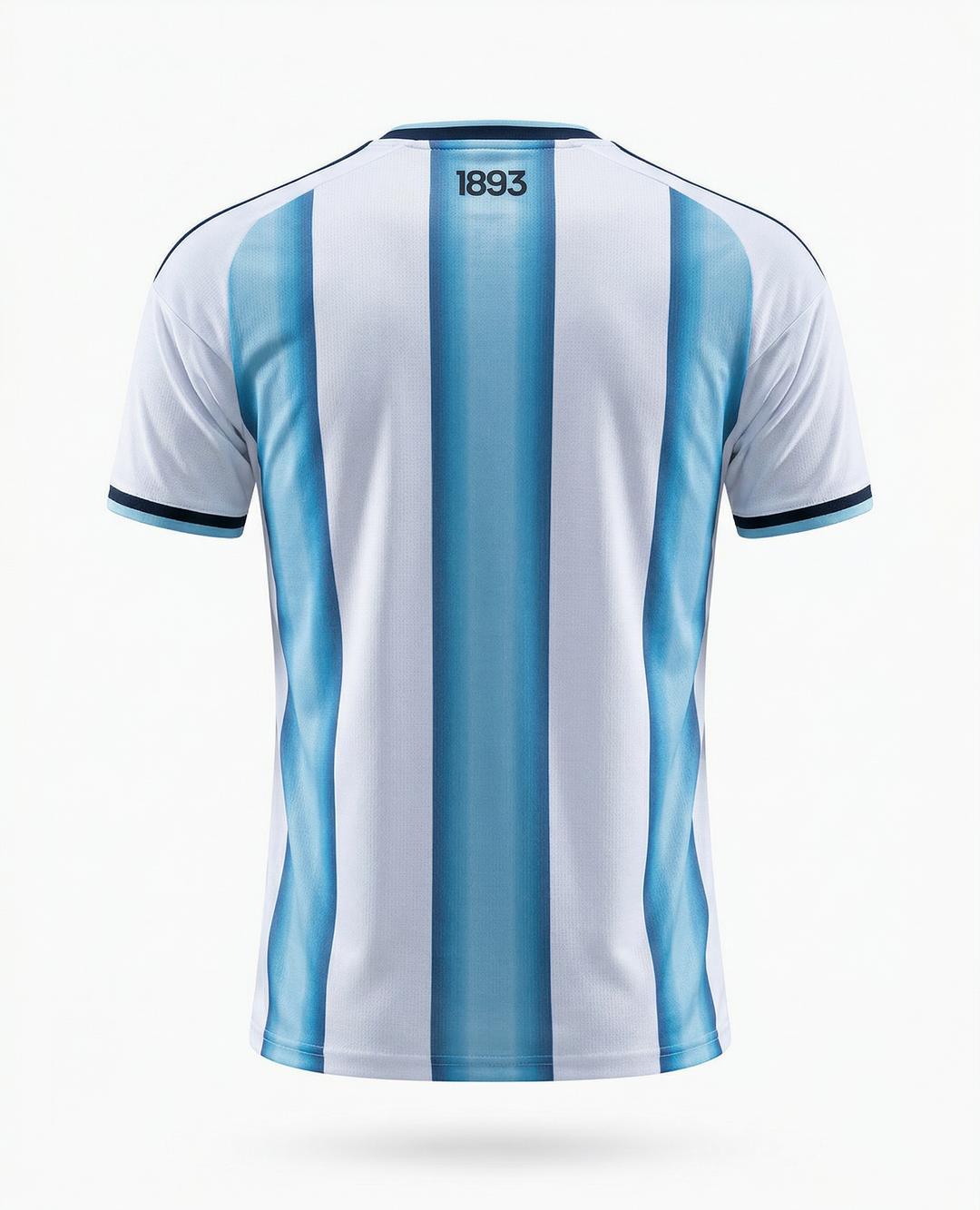 Camiseta Argentina 2026 vision trasera detalle completo.