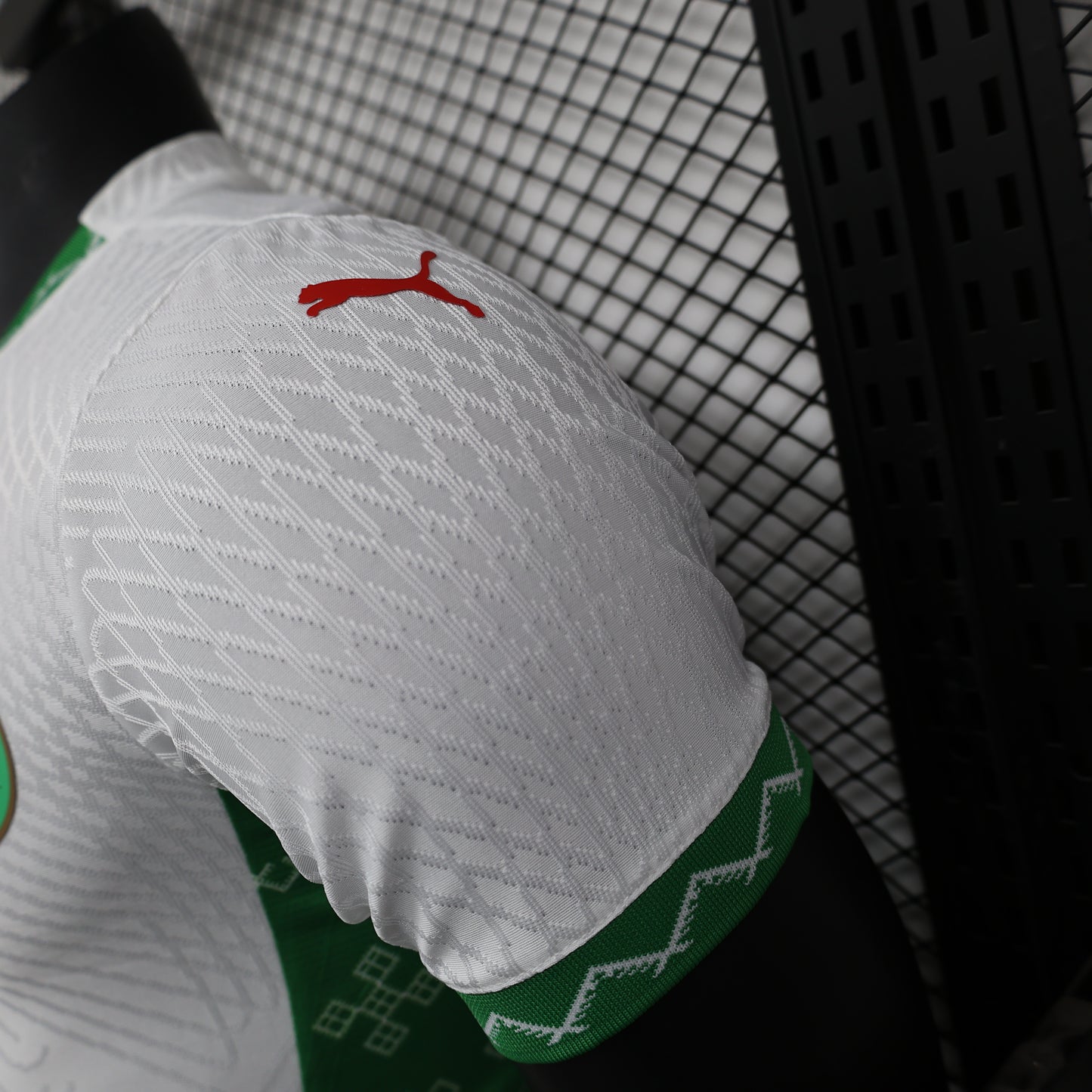 Marruecos 2025 Visitante