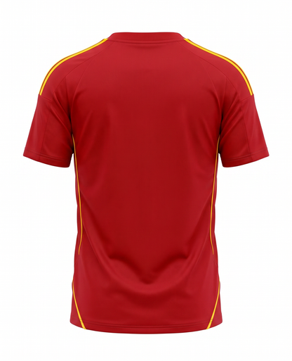 Camiseta España 2008 Retro